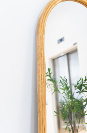 Terra Arch Mirror