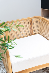 Canelle Single Rattan Sofa